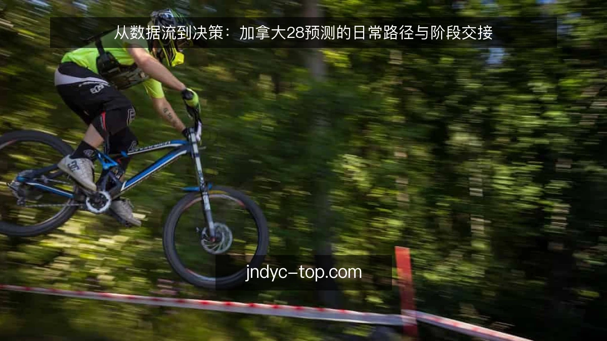 从数据流到决策：加拿大28预测的日常路径与阶段交接