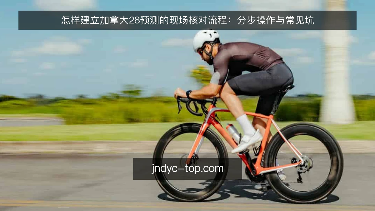 怎样建立加拿大28预测的现场核对流程：分步操作与常见坑