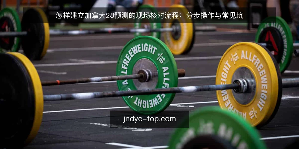 怎样建立加拿大28预测的现场核对流程：分步操作与常见坑 — 第一步：准备核对工具与数据基线 配图