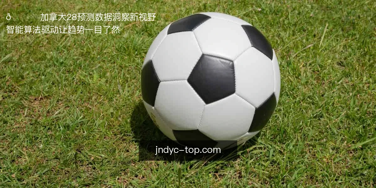 📊 加拿大28预测，数据洞察新视野